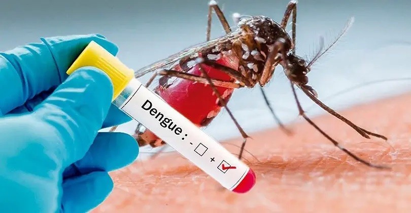 Falleció una mujer por dengue en La Rioja