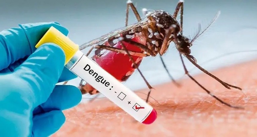 Dengue: Muere hombre de 37 años tras contraer nuevamente la enfermedad