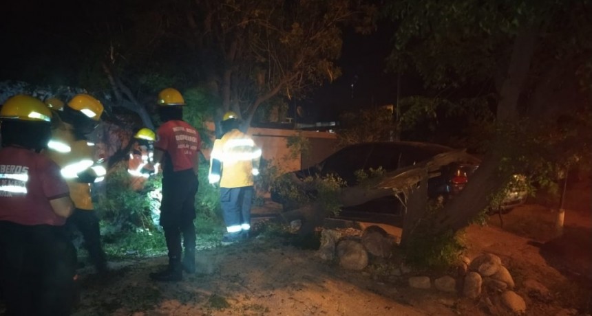 Salud no registr&oacute; heridos de gravedad producto del fuerte viento