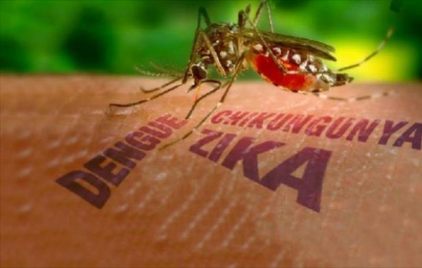 Detectan el primer caso de Chikungunya en Chaco