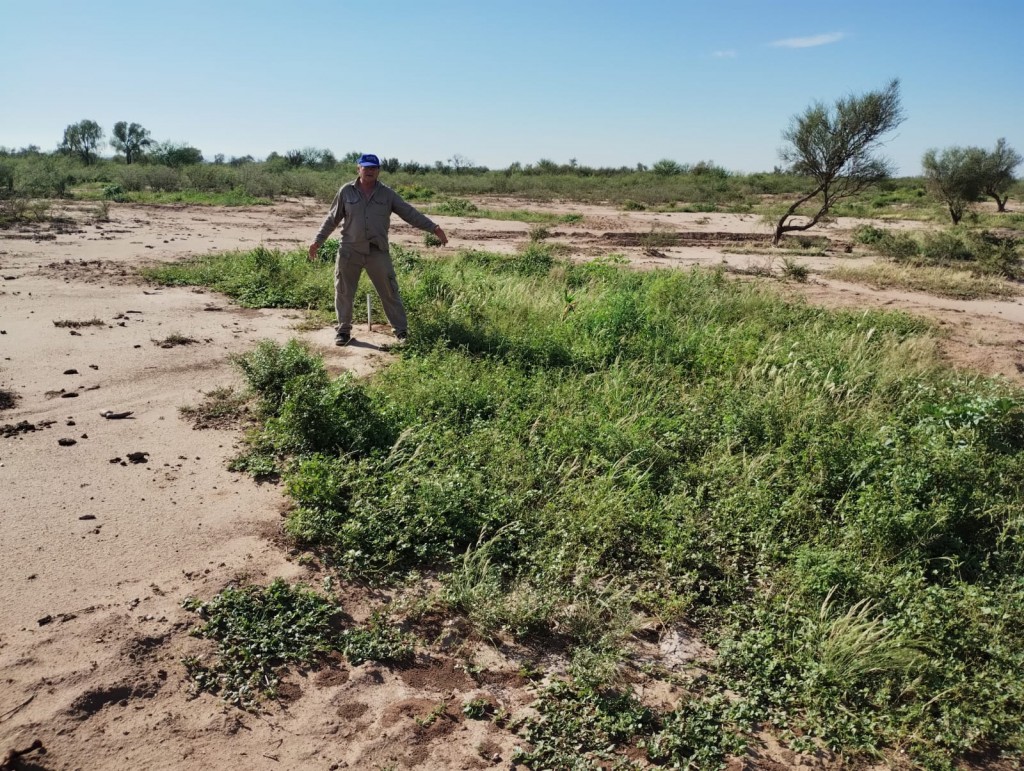 Se aplicó el plan experimental de medialunas contra la desertificación en Chepes con excelentes resultados