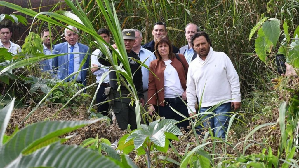 Ponen en marcha acciones del 