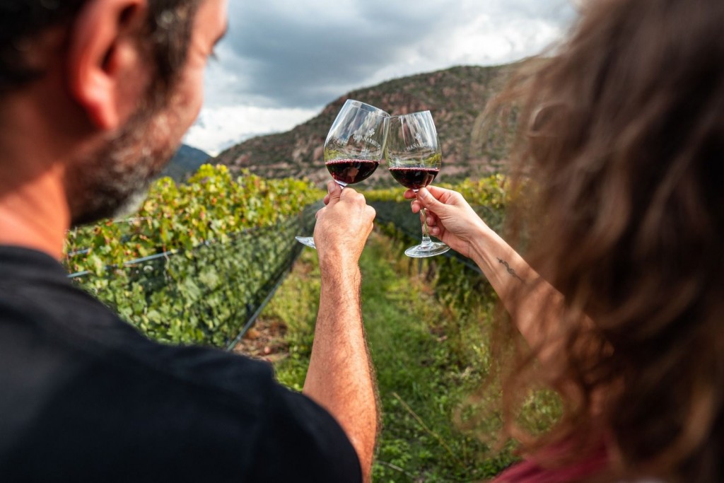 La Ruta del Vino del Valle de Famatina lleva a La Rioja a competir en los premios Winexplorers