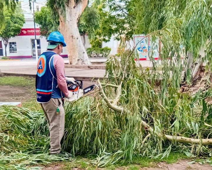 Tras las fuertes lluvias, el Municipio despliega un operativo integral en los barrios más afectados
