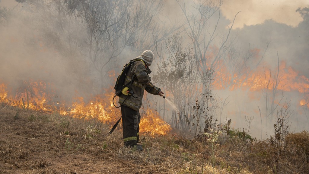 Tras miles de hectáreas incendiadas, el gobierno declaró la 