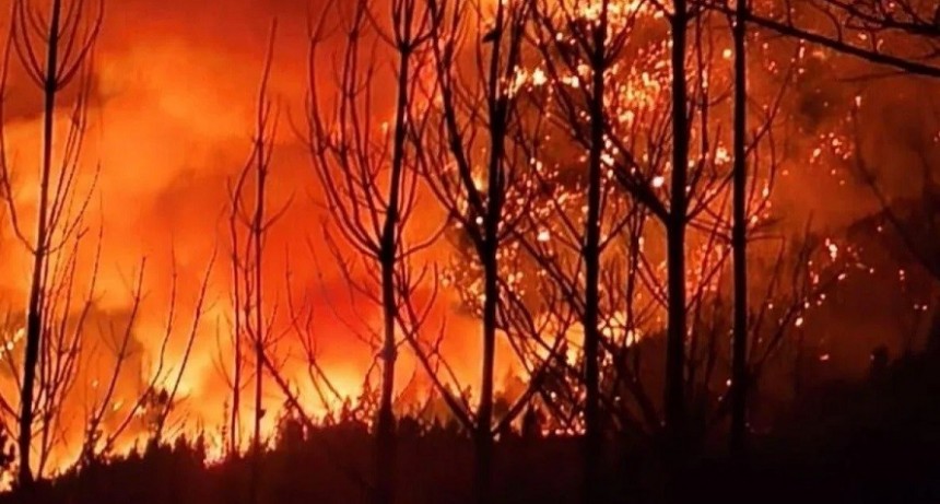 Refuerzan el operativo federal contra los incendios en la Patagonia con casi 300 brigadistas y 15 aeronaves