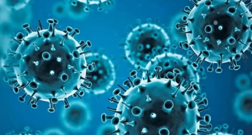 Detectan los primeros casos de la gripe H3N2 en Córdoba y Corrientes