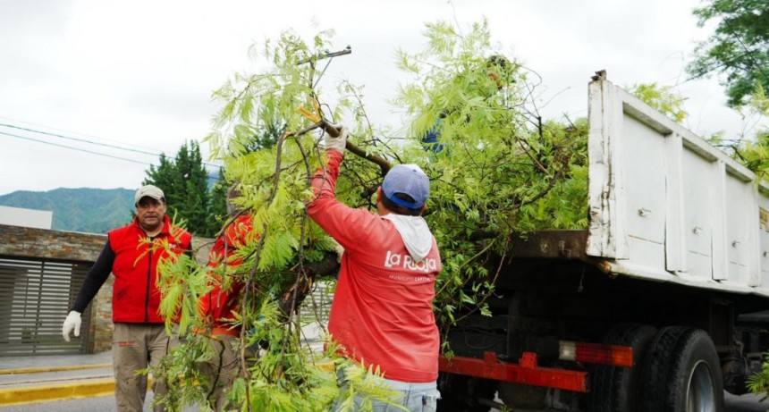 Municipio despliega tareas para recuperar la ciudad tras las lluvias