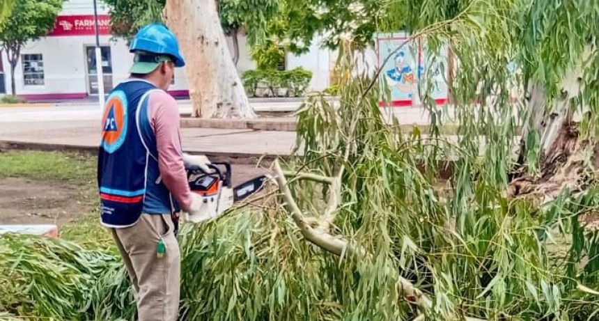 Tras las fuertes lluvias, el Municipio despliega un operativo integral en los barrios más afectados
