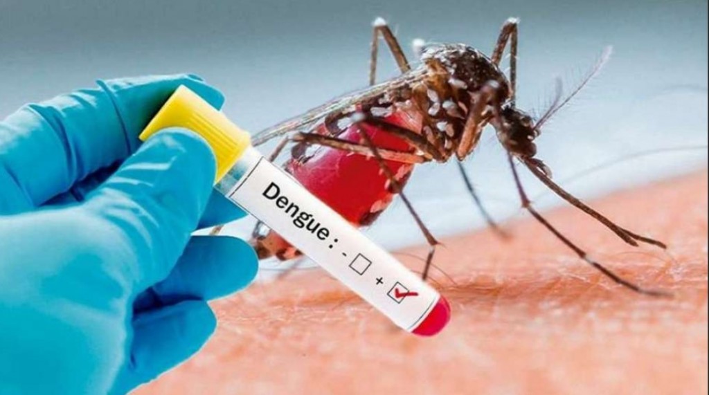 Llamativo aumento de casos de dengue y chikungunya en Argentina