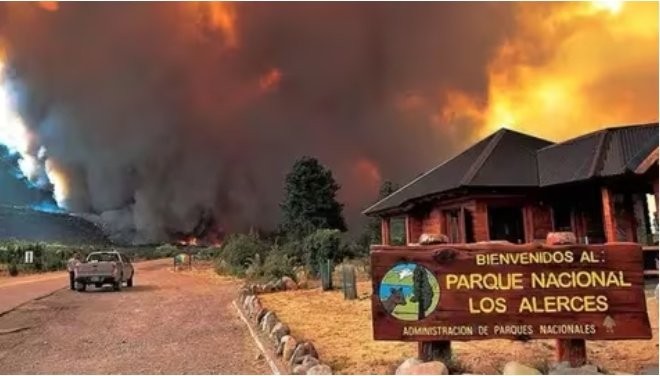 Incendio Parque Los Alerces: Ofrecen millonaria recompensa a quien aporte datos
