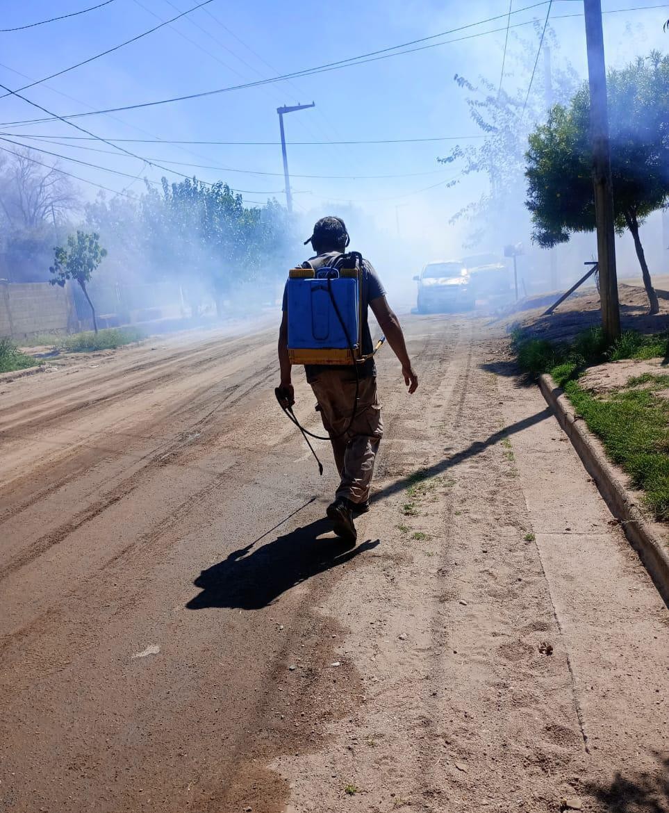 Despliegan tareas de fumigación y desinfección en las zonas afectadas por la inundación de Chamical