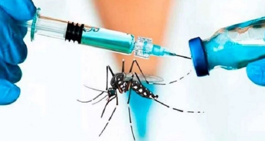 Gobierno amplía la vacunación del dengue hasta los 59 años