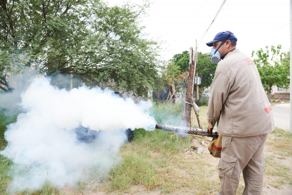 Intensifican acciones sanitarias para controlar el brote de dengue en La Rioja