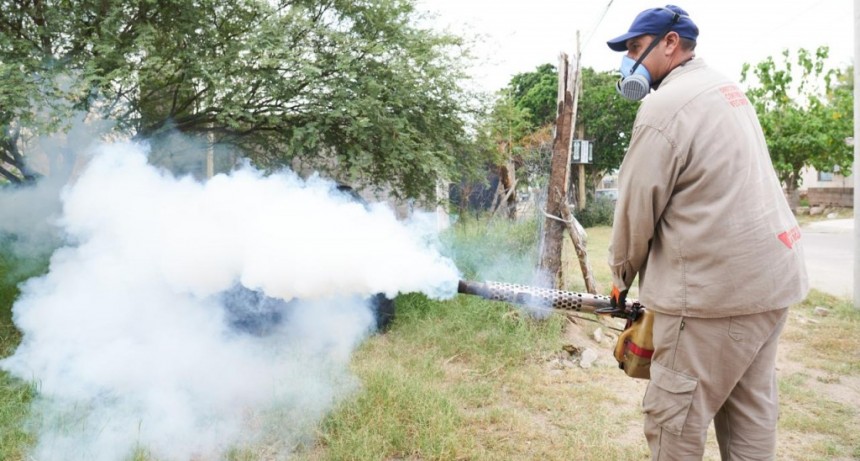 Intensifican acciones sanitarias para controlar el brote de dengue en La Rioja