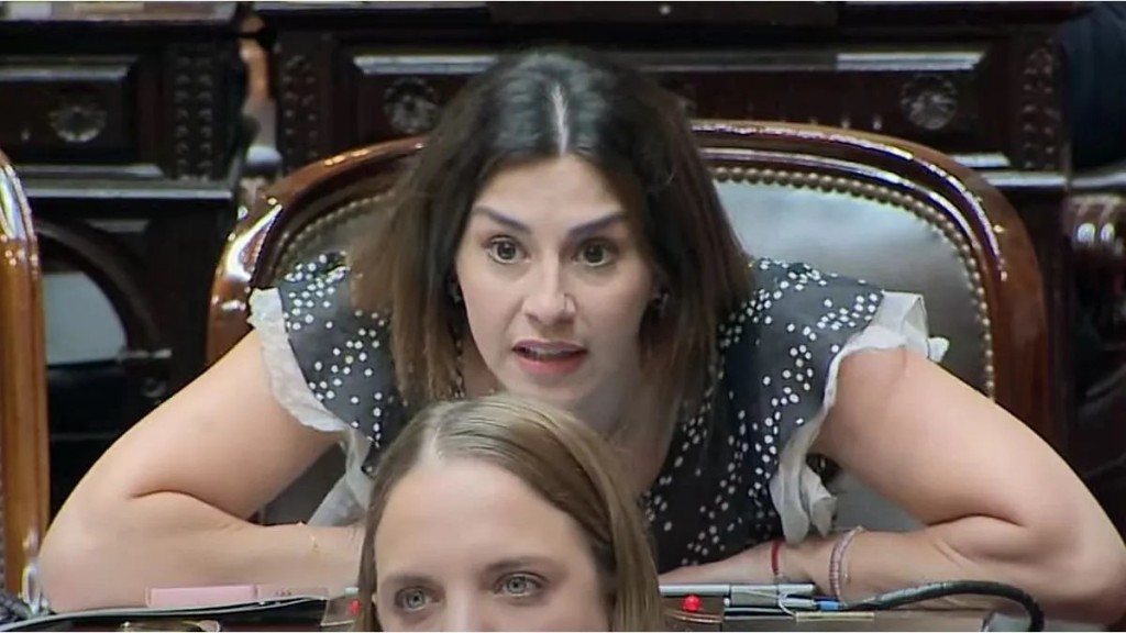 La diputada Pagano denunció que Martín Menem la amenazó y hostigó