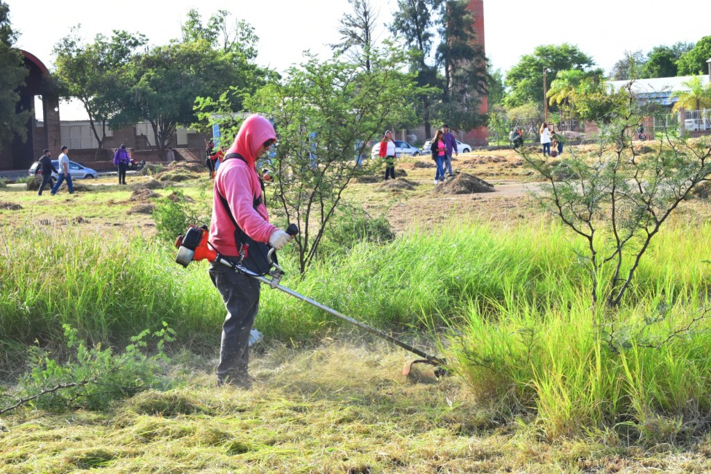 El Municipio intensifica operativos para erradicar basurales a cielo abierto