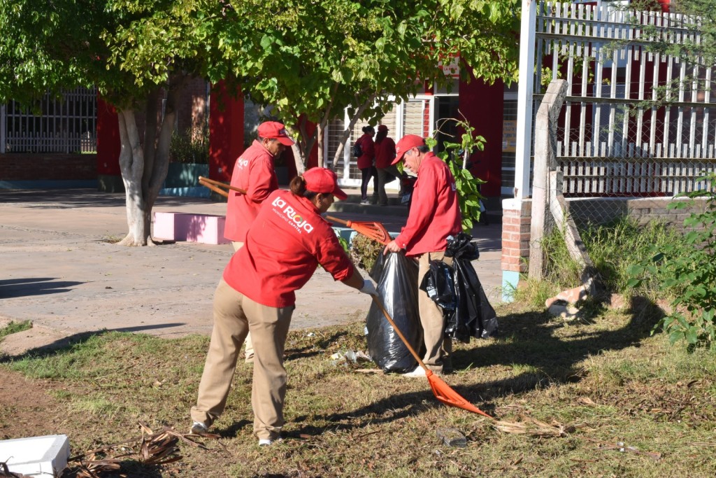 Municipio refuerza tareas de limpieza, desmalezado y nivelaci&oacute;n de calles