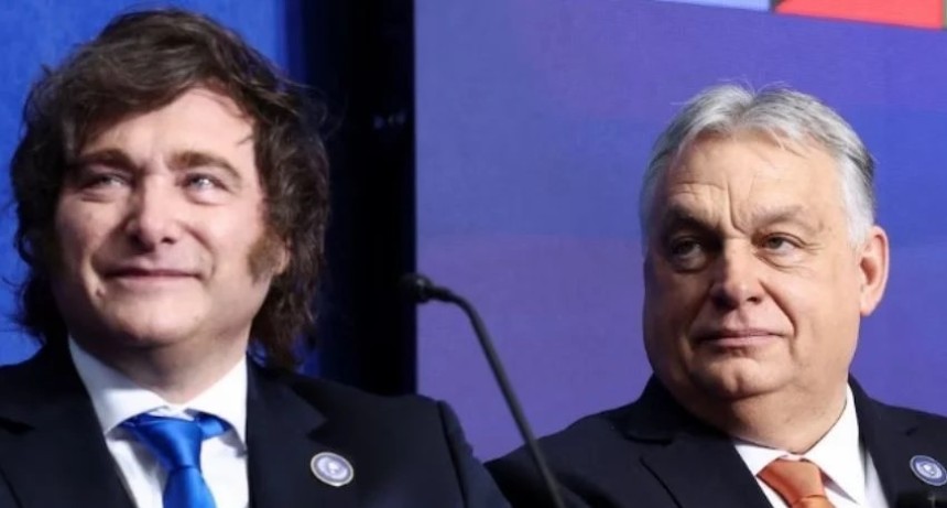 Milei asegur&oacute; que Argentina le puede dar energ&iacute;a a toda Europa