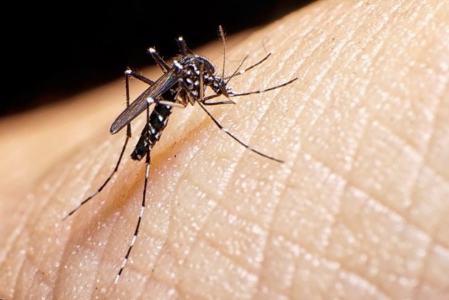 Dengue: Se registraron 364 casos nuevos en la provincia 
