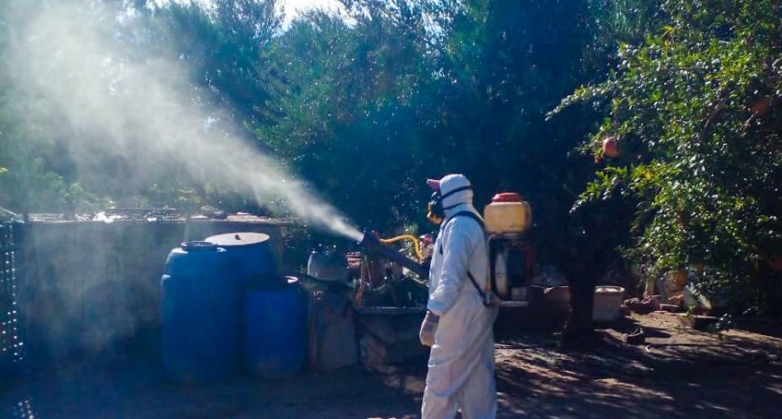 Dengue: En Arauco continúan los trabajos para evitar la proliferación del mosquito Aedes Aegyptis 