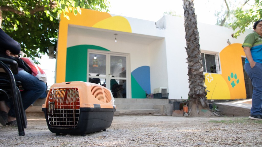 El municipio contin&uacute;a brindando servicio de salud animal