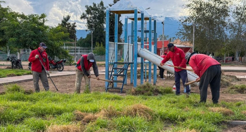 Municipio sigue con el plan de limpieza y mantenimiento en la zona este de la capital