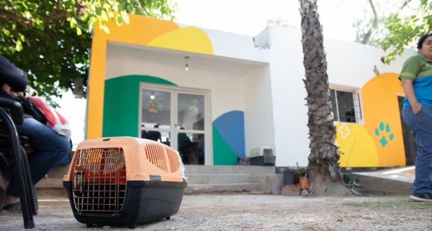 El municipio contin&uacute;a brindando servicio de salud animal