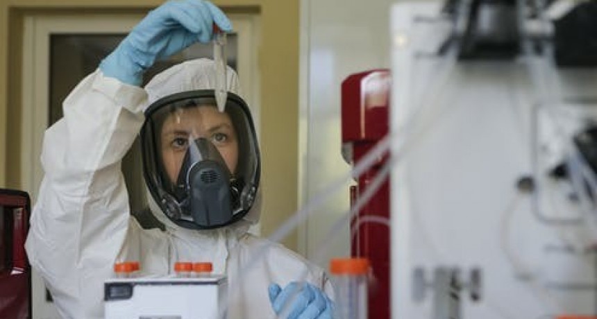  663 personas murieron por coronavirus en el pa&iacute;s