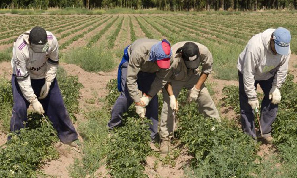El RENATRE aument&oacute; la prestaci&oacute;n por desempleo rural y el monto m&aacute;ximo superar&aacute; los $382 mil