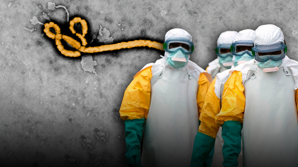 Alerta mundial por un brote de &eacute;bola en &Aacute;frica: ya hay m&aacute;s de 130 muertos