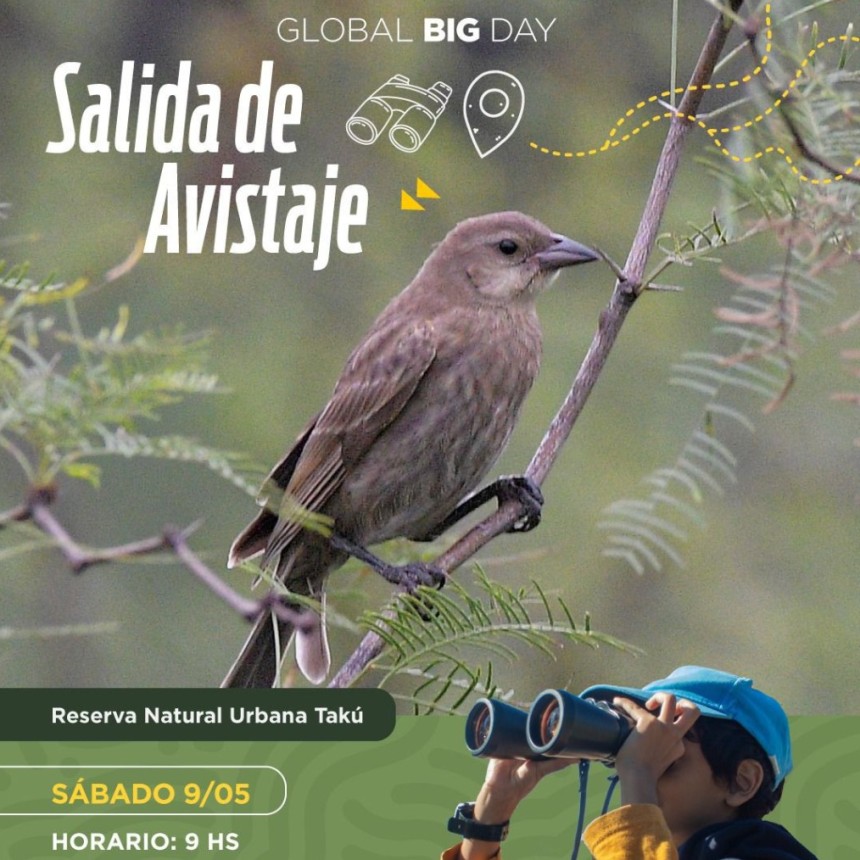 Se realiza una jornada gratuita de avistaje de aves en la Reserva Tak&uacute;