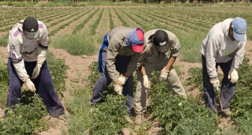El RENATRE aument&oacute; la prestaci&oacute;n por desempleo rural y el monto m&aacute;ximo superar&aacute; los $382 mil