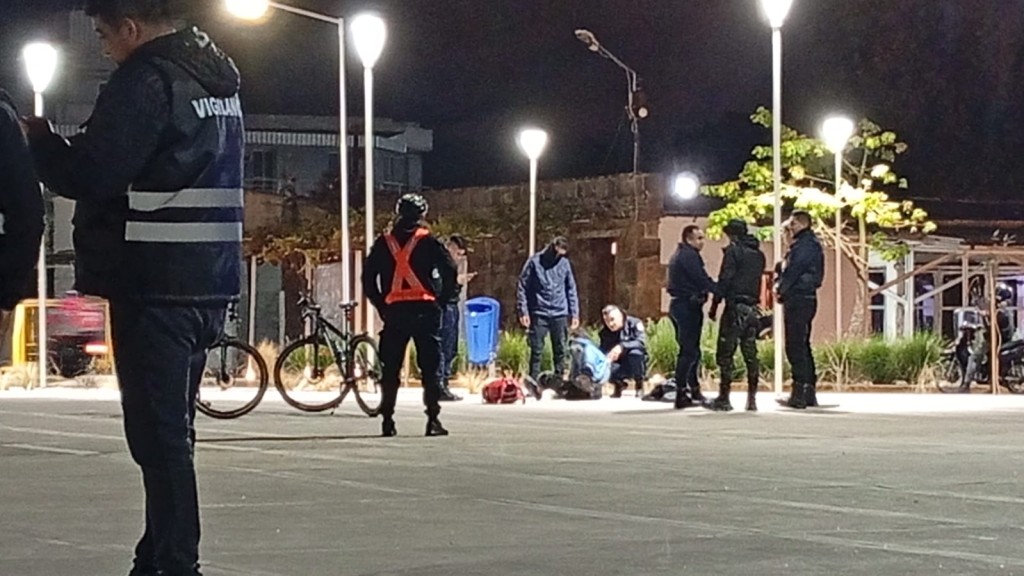 Detienen a un joven por destrozar una bandera en la Estaci&oacute;n