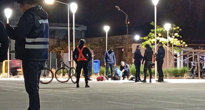 Detienen a un joven por destrozar una bandera en la Estaci&oacute;n