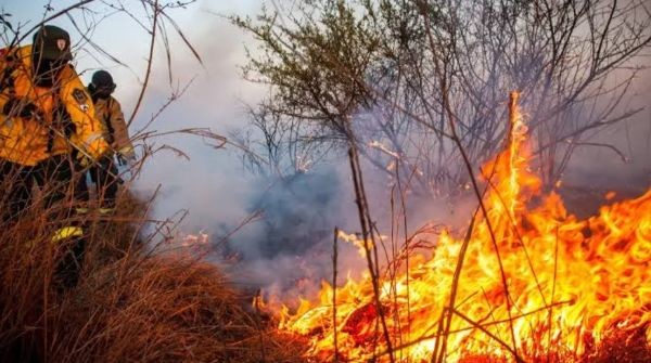 El incendio forestal de Guanch&iacute;n permanece activo en el sector sur