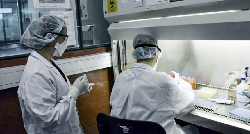  COVID-19: En las &uacute;ltimas  24 horas en Argentina se confirmaron 10.550 contagios 