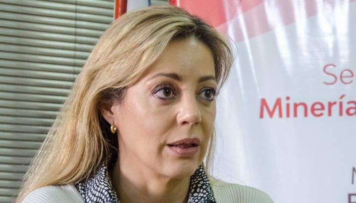 Flavia Royón es la nueva secretaria de Energía