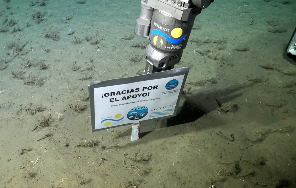 La expedición del Conicet finalizó con un emotivo: 