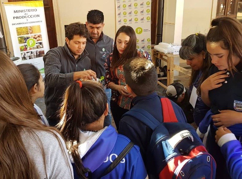 Ministerio de Producción continúa “Programa de huertas” en instituciones  