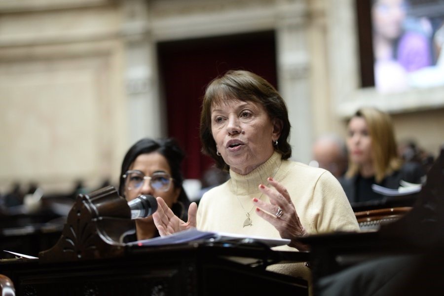 La Cámara de Diputados aprobó y giró al Senado la creación de cinco universidades
