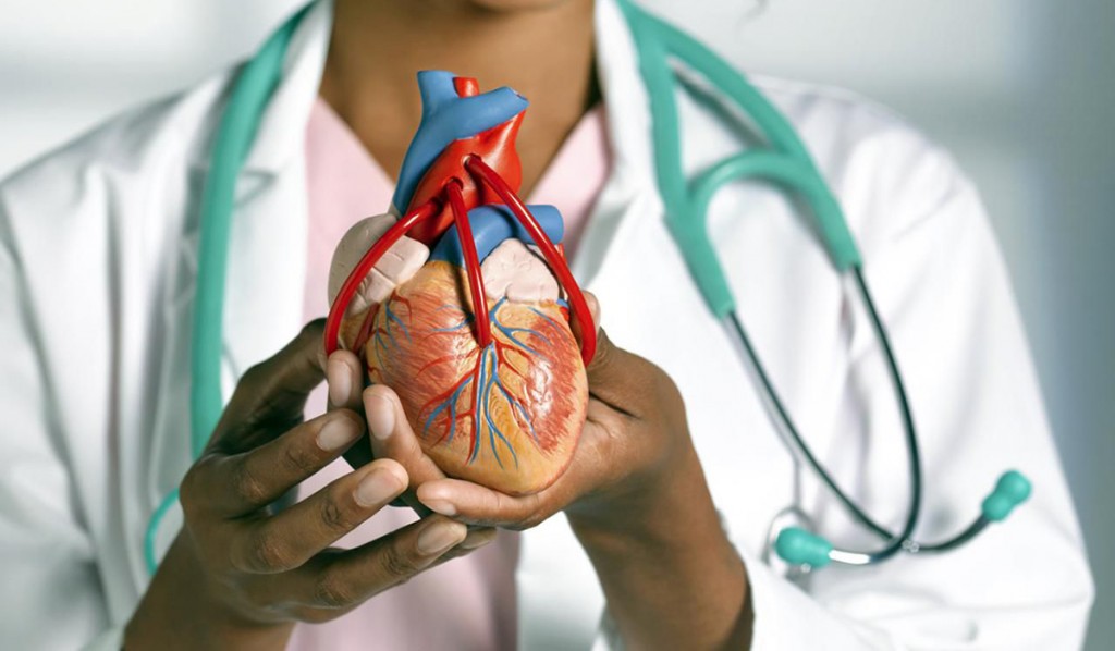 Alerta: más de 280 argentinos mueren por problemas cardiovasculares