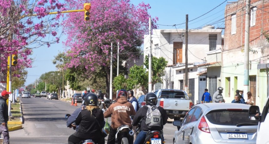 Implementan severas multas para quienes pasen el sem&aacute;foro en rojo