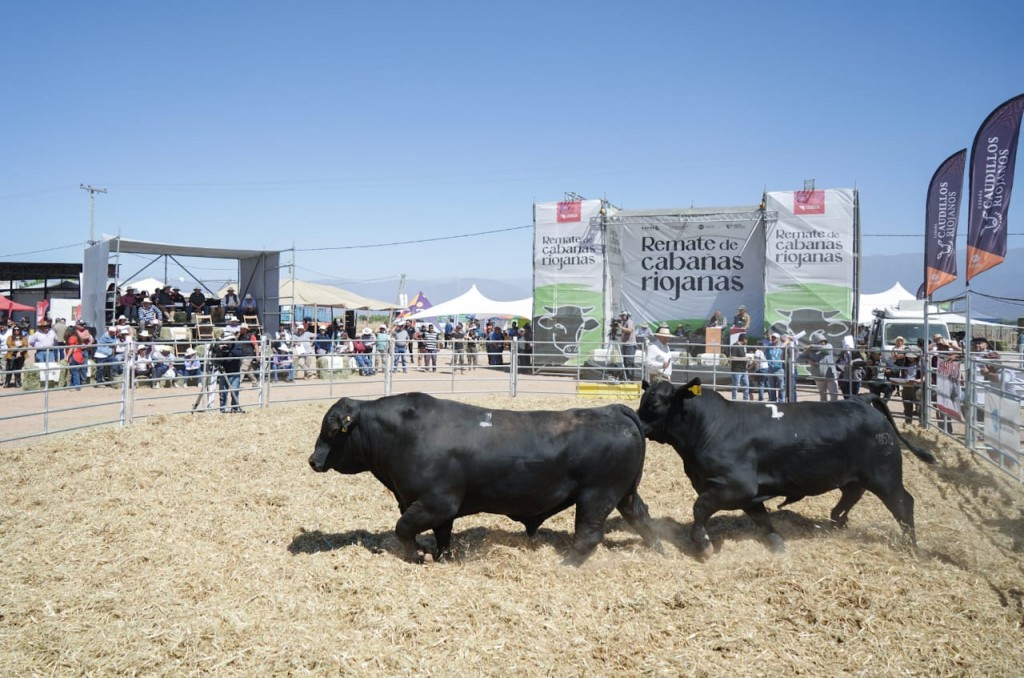 Se realiza en La Rioja uno de los eventos agropecuarios más importantes de la región