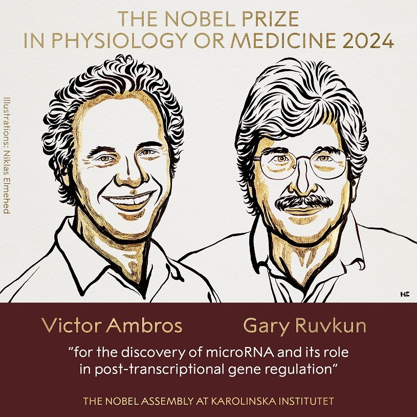  El Nobel de Medicina 2024 fue para Víctor Ambros y Gary Ruvkun por el descubrimiento del microARN