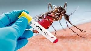 Dengue en Argentina: confirmaron el primer caso de serotipo 4 en el país