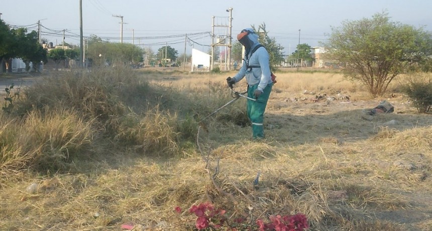 Intensos operativos para prevenir el dengue