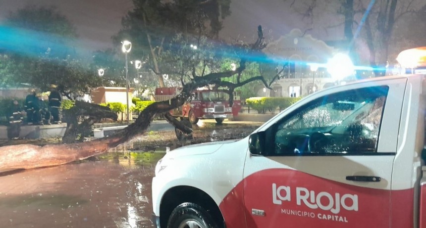 El municipio desplegó operativo de asistencia por las intensas lluvias