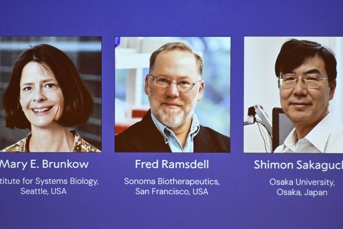 El Premio Nobel de Medicina fue para Mary Bunkow y Fred Ramsdell y el japonés Shimon Sakaguchi