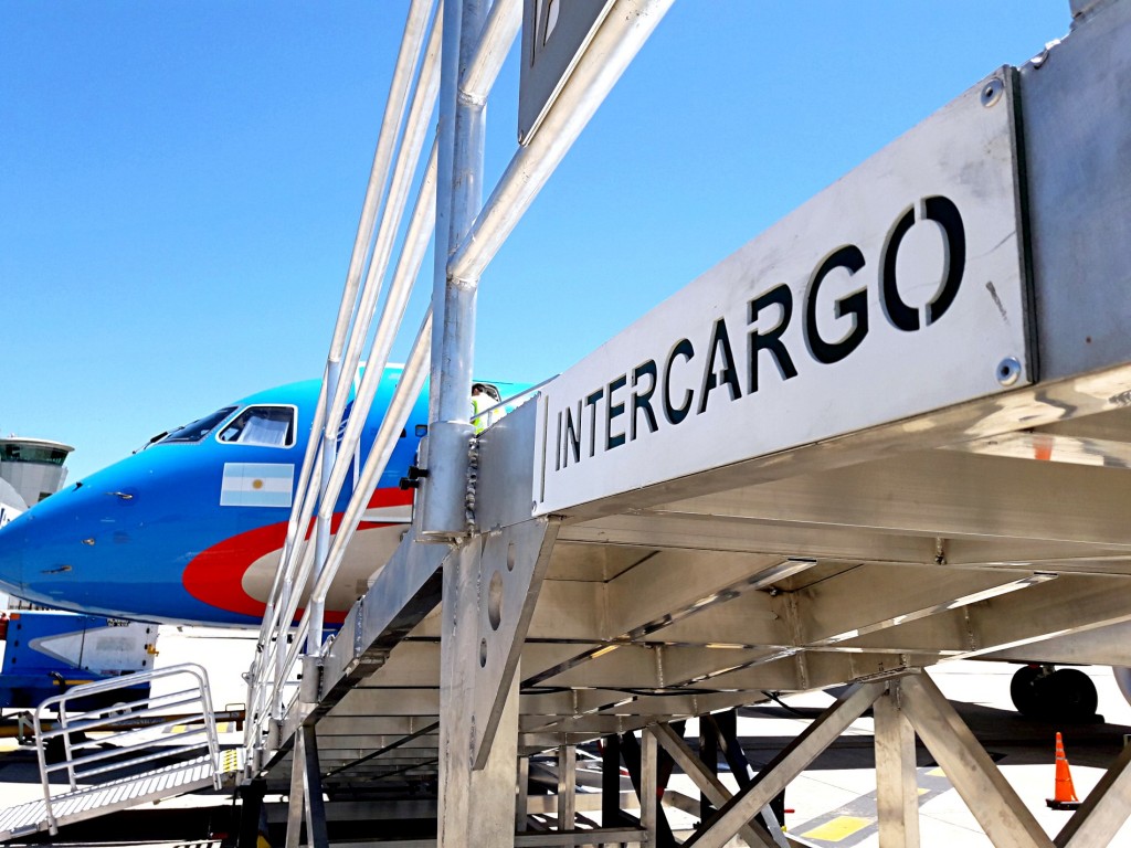 El Gobierno echó a 15 empleados de Intercargo por el paro en Aeroparque